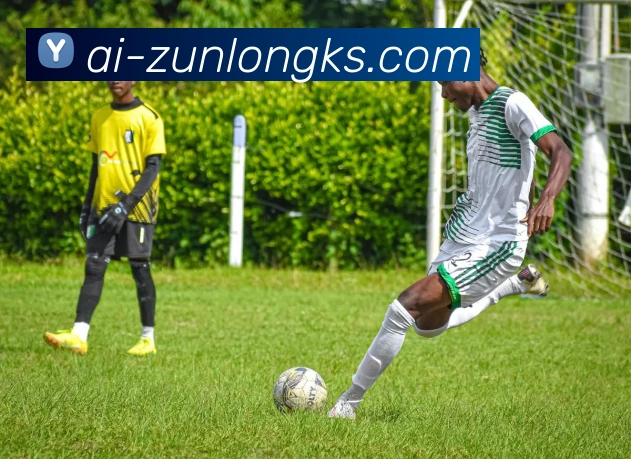 尊龙凯时官网平台生态图